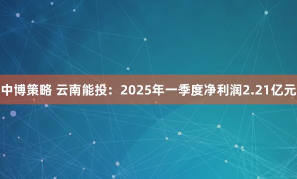 中博策略 云南能投：2025年一季度净利润2.21亿元
