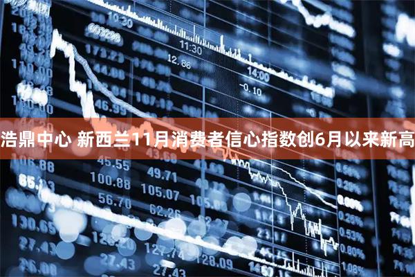 浩鼎中心 新西兰11月消费者信心指数创6月以来新高