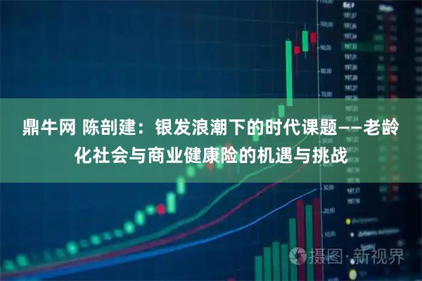 鼎牛网 陈剖建：银发浪潮下的时代课题——老龄化社会与商业健康险的机遇与挑战